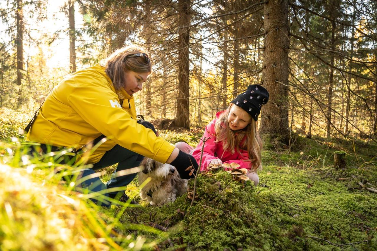 Guesthouse Koli Freetime Ахмоваара Экстерьер фото