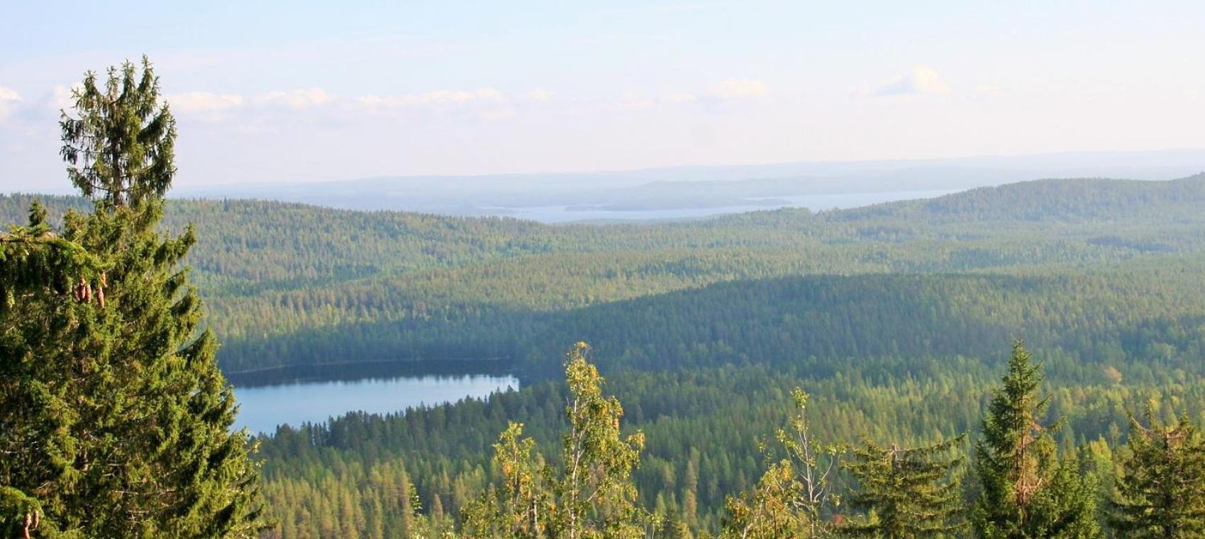 Guesthouse Koli Freetime Ахмоваара Экстерьер фото