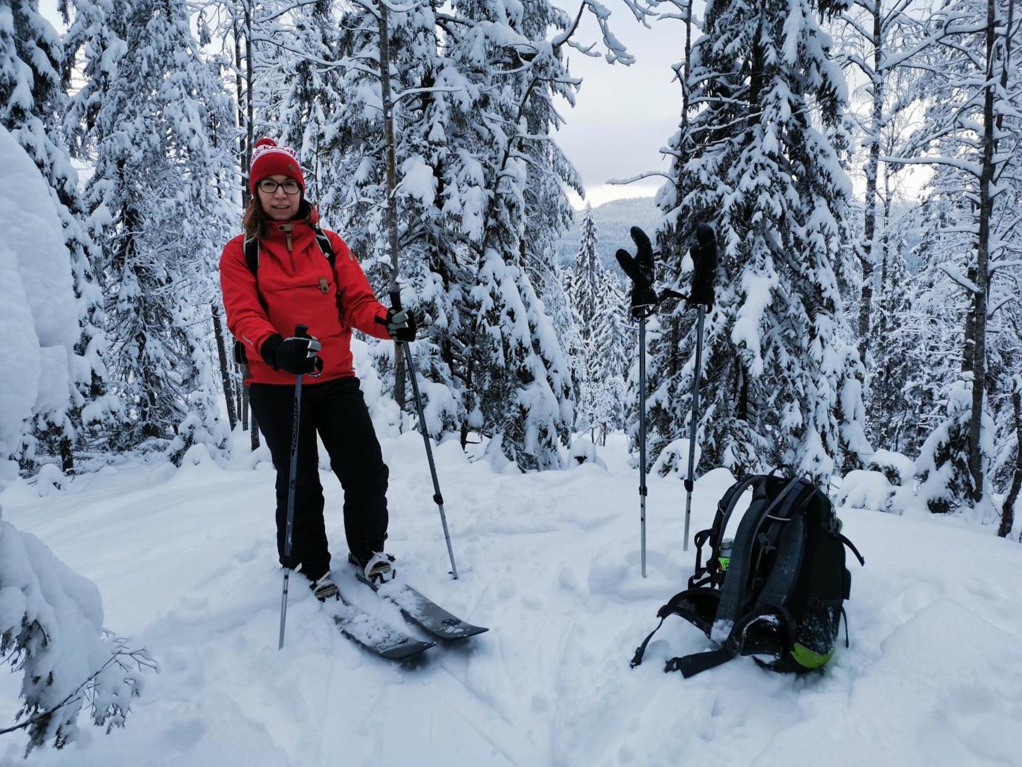 Guesthouse Koli Freetime Ахмоваара Экстерьер фото