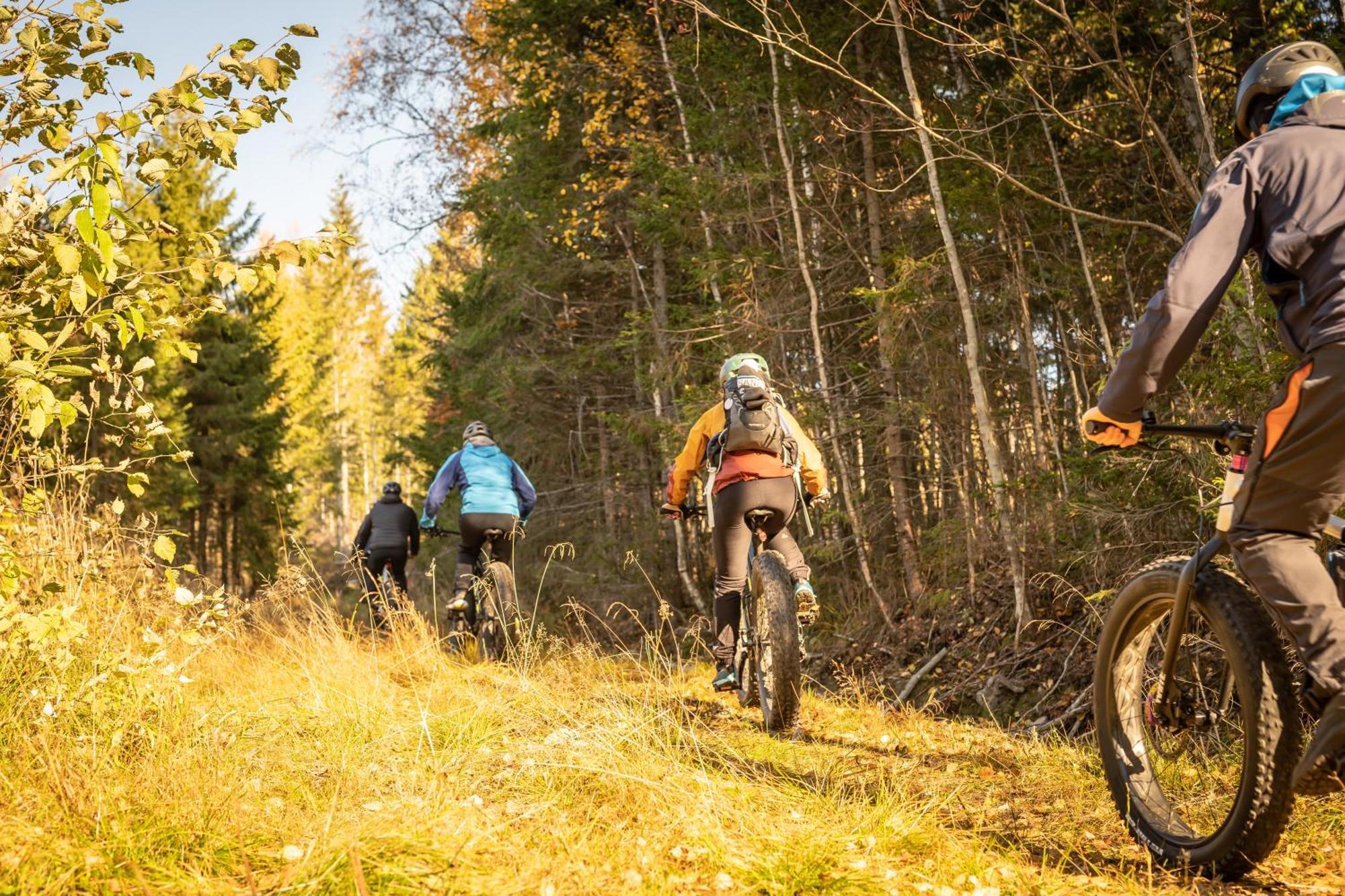 Guesthouse Koli Freetime Ахмоваара Экстерьер фото