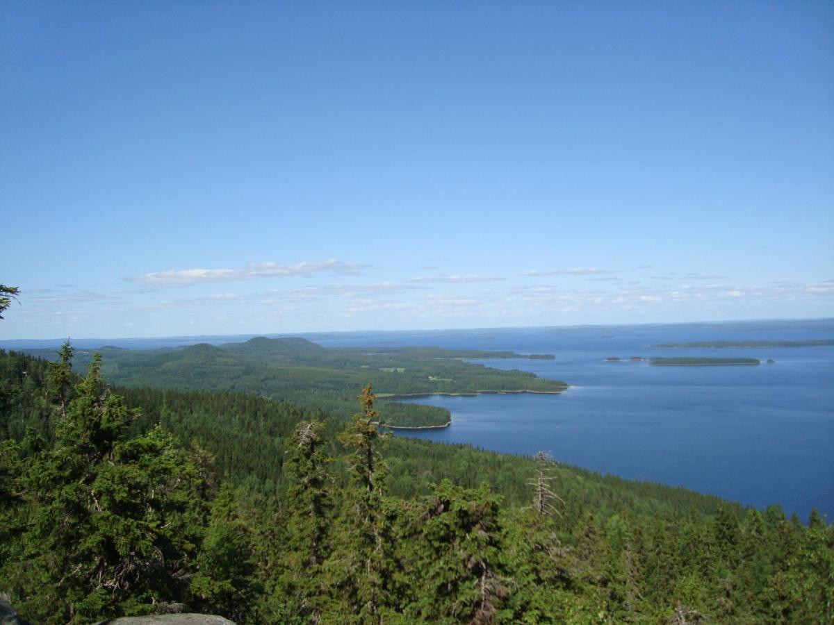 Guesthouse Koli Freetime Ахмоваара Экстерьер фото